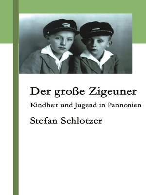 cover image of Der große Zigeuner